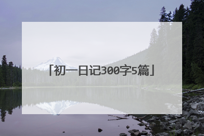 初一日记300字5篇