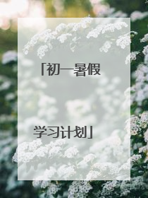 初一暑假学习计划