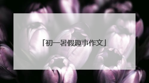 初一暑假趣事作文