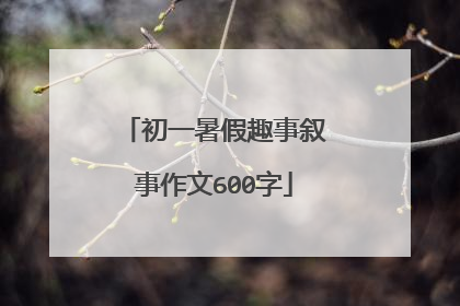 初一暑假趣事叙事作文600字