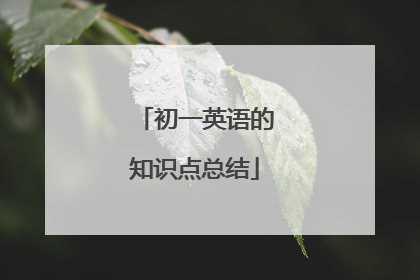 初一英语的知识点总结