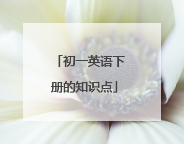 初一英语下册的知识点