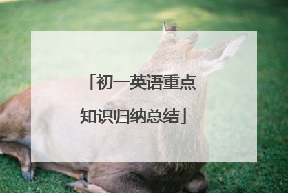 初一英语重点知识归纳总结