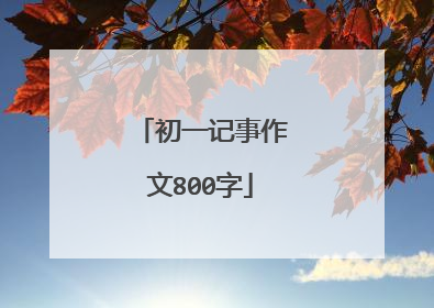 初一记事作文800字