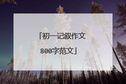 初一记叙作文800字范文