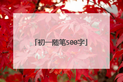 初一随笔500字