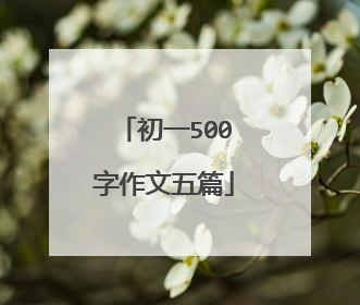 初一500字作文五篇