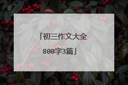 初三作文大全800字3篇