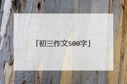 初三作文500字