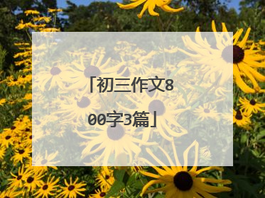初三作文800字3篇