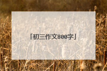 初三作文800字