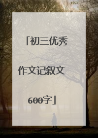 初三优秀作文记叙文600字