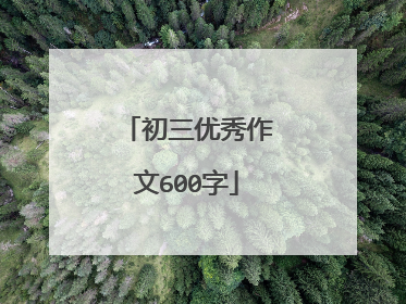 初三优秀作文600字