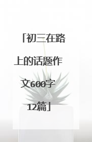 初三在路上的话题作文600字12篇