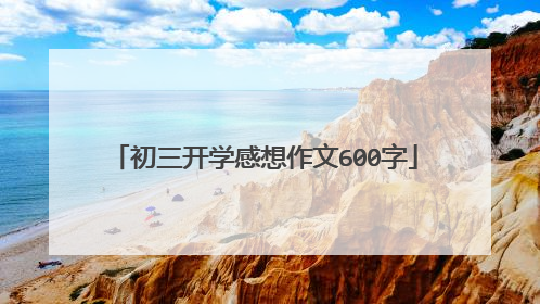 初三开学感想作文600字