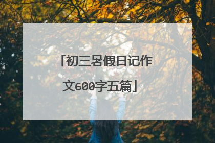 初三暑假日记作文600字五篇