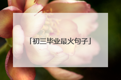 初三毕业最火句子