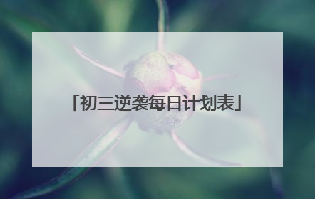 初三逆袭每日计划表