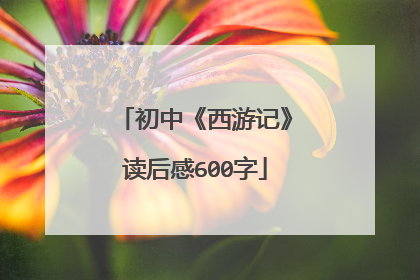 初中《西游记》读后感600字