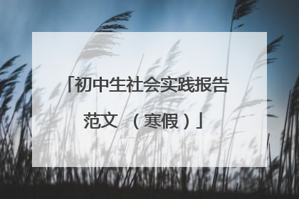 初中生社会实践报告 范文 （寒假）