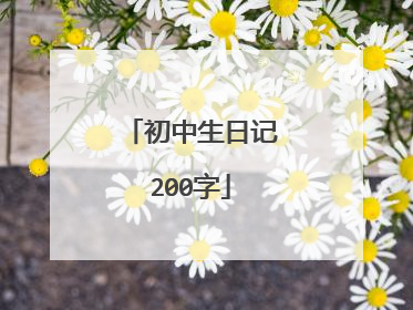 初中生日记200字