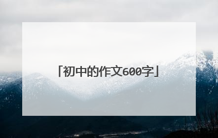 初中的作文600字