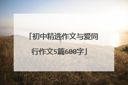 初中精选作文与爱同行作文5篇600字