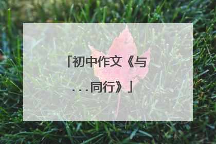 初中作文《与...同行》