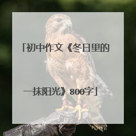 初中作文《冬日里的一抹阳光》800字