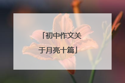 初中作文关于月亮十篇