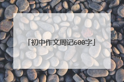 初中作文周记600字