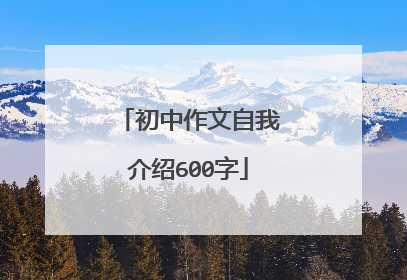 初中作文自我介绍600字