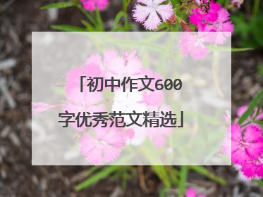 初中作文600字优秀范文精选