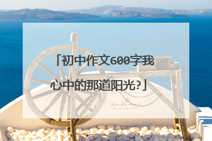 初中作文600字我心中的那道阳光?