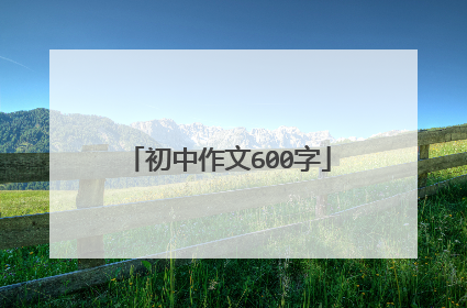 初中作文600字
