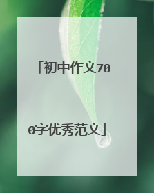 初中作文700字优秀范文