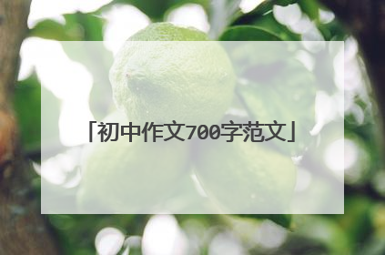 初中作文700字范文