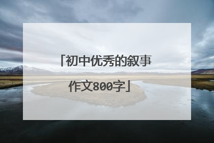 初中优秀的叙事作文800字