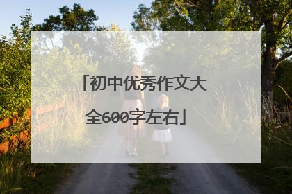 初中优秀作文大全600字左右