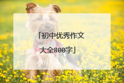 初中优秀作文大全800字