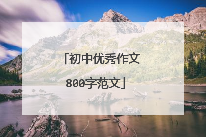 初中优秀作文800字范文