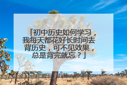 初中历史如何学习，我每天都花好长时间去背历史，可不见效果，总是背完就忘？