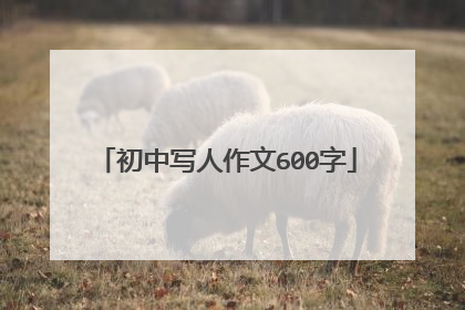 初中写人作文600字