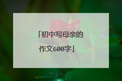 初中写母亲的作文600字