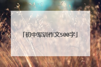 初中军训作文500字