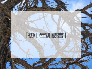 初中军训感言