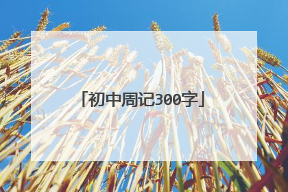 初中周记300字