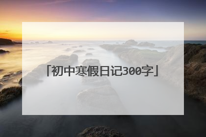 初中寒假日记300字