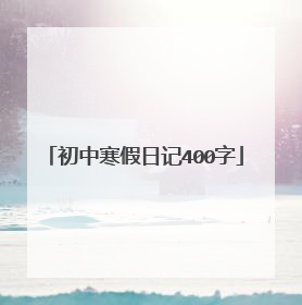 初中寒假日记400字