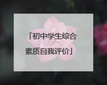 初中学生综合素质自我评价